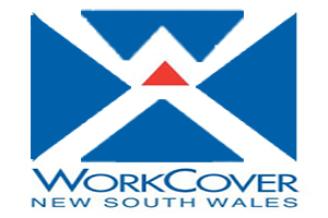 workcover Paints